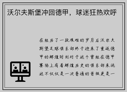 沃尔夫斯堡冲回德甲，球迷狂热欢呼